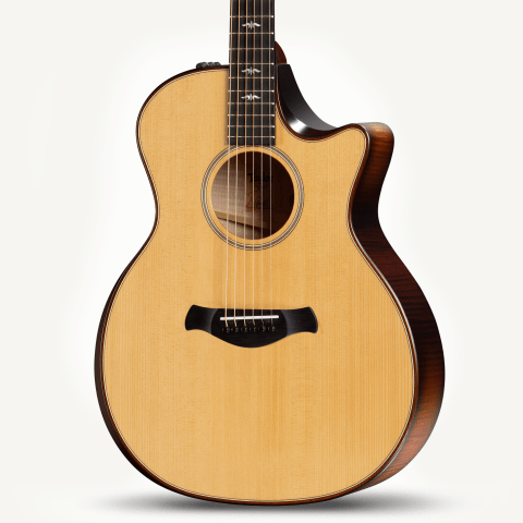 600 Series アコースティックギター | Taylor Guitars